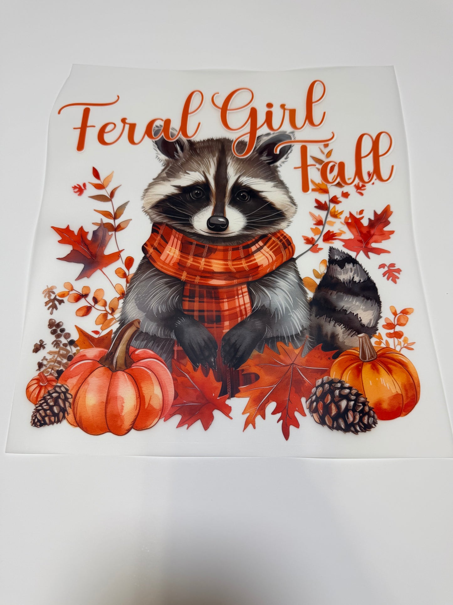 #149 FERAL GIRL FALL