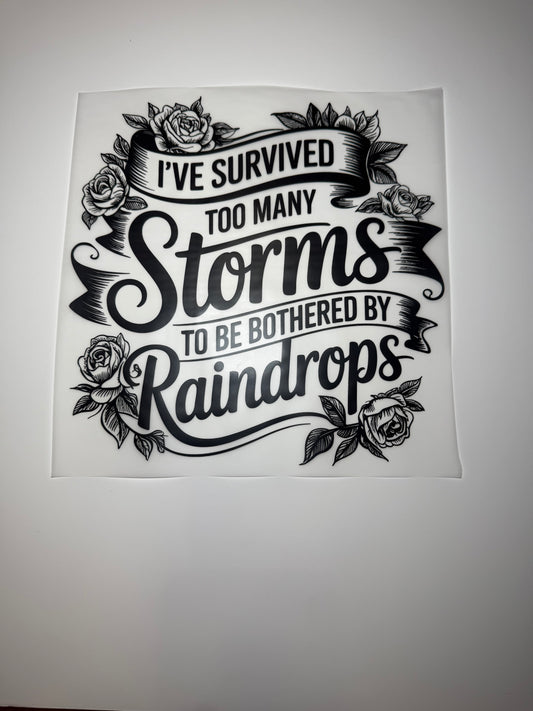 #101 Storms